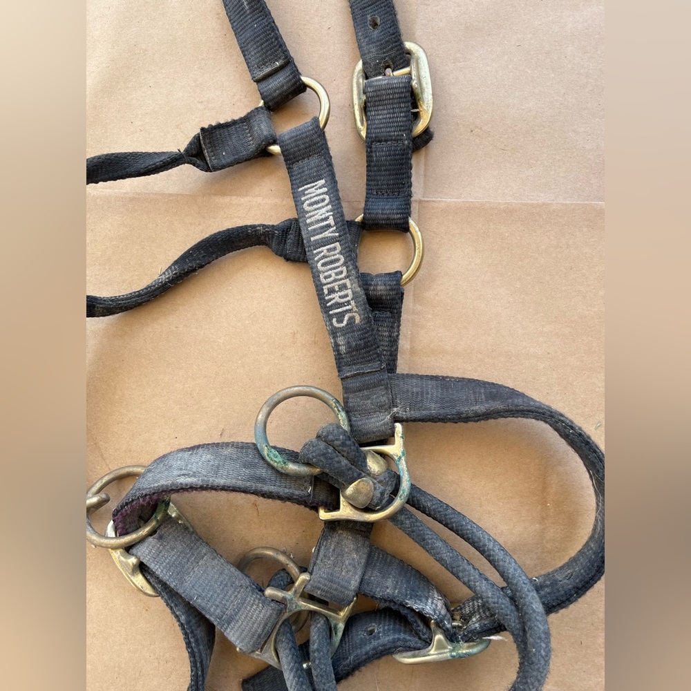 Monty Robert’s Dually Halter